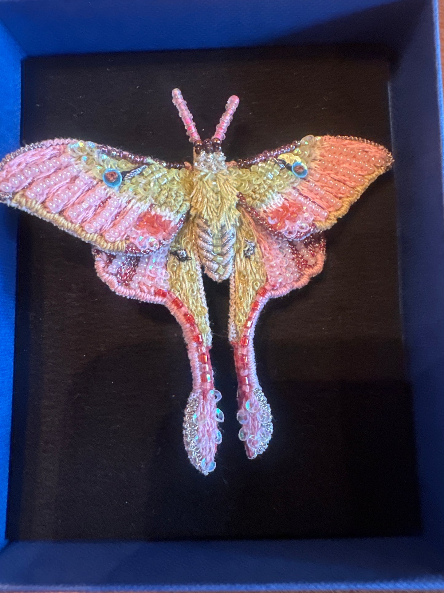 MOON MOTH