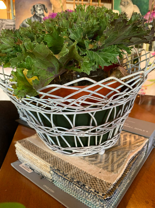 Vintage Plant Basket